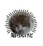 えみちゃん☆R（個別スタンプ：16）