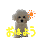 ノエルさん①（個別スタンプ：2）