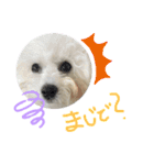 ノエルさん①（個別スタンプ：15）