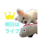 ノエルさん①（個別スタンプ：16）