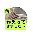 桜文鳥わすけヒナわす時代［改訂版］（個別スタンプ：11）