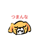 僕の犬なのか？（個別スタンプ：5）