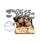 るぅ と うる（個別スタンプ：10）