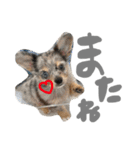 るぅ と うる（個別スタンプ：18）