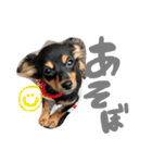 るぅ と うる（個別スタンプ：19）