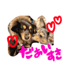 るぅ と うる（個別スタンプ：21）