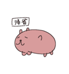 足5カピバラ（個別スタンプ：1）