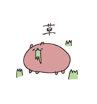 足5カピバラ（個別スタンプ：6）