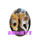 モッフモフな仲間丁寧版（個別スタンプ：5）