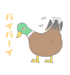 あいさつできるカモ！（個別スタンプ：11）