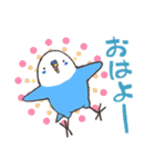 毎日使えるインコちゃん！（個別スタンプ：1）