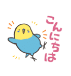 毎日使えるインコちゃん！（個別スタンプ：4）