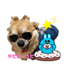ちくわさしらす（個別スタンプ：4）