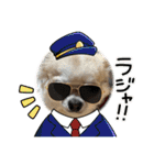 ちくわさしらす（個別スタンプ：6）