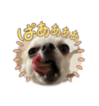 ちくわさしらす（個別スタンプ：9）
