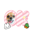 ちくわさしらす（個別スタンプ：10）