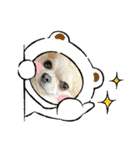 ちくわさしらす（個別スタンプ：13）