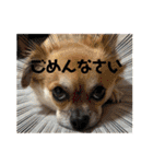 ちくわさしらす（個別スタンプ：18）