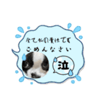 ちくわさしらす（個別スタンプ：24）