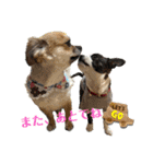 ちくわさしらす（個別スタンプ：31）