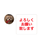 マルプーのぷーたん、第11弾（個別スタンプ：5）