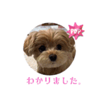 マルプーのぷーたん、第11弾（個別スタンプ：23）