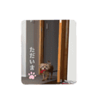 マルプーのぷーたん、第11弾（個別スタンプ：27）