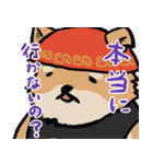 横浜家犬（個別スタンプ：3）
