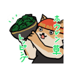 横浜家犬（個別スタンプ：12）