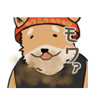横浜家犬（個別スタンプ：16）