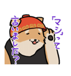 横浜家犬（個別スタンプ：18）