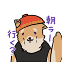 横浜家犬（個別スタンプ：24）