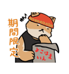 横浜家犬（個別スタンプ：35）
