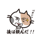 猫好きさんに送るねごすんスタンプ4（個別スタンプ：35）
