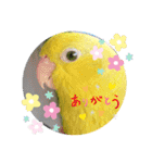 マメルリハ達6（個別スタンプ：1）