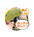 マメルリハ達6（個別スタンプ：3）