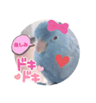 マメルリハ達6（個別スタンプ：8）