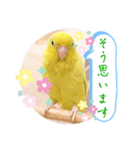 マメルリハ達6（個別スタンプ：9）