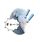 マメルリハ達6（個別スタンプ：10）