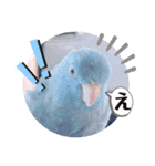 マメルリハ達6（個別スタンプ：12）
