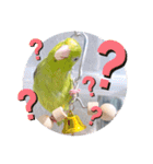 マメルリハ達6（個別スタンプ：15）