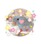 マメルリハ達6（個別スタンプ：16）