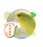 マメルリハ達6（個別スタンプ：17）