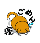 おにゃかねこ（個別スタンプ：4）