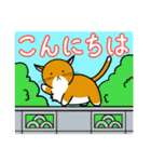 おにゃかねこ（個別スタンプ：11）