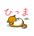 おにゃかねこ（個別スタンプ：16）