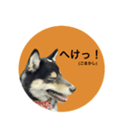 くろみつ①（個別スタンプ：4）
