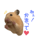 ハミーくんとコロンくんの日常！（個別スタンプ：3）