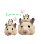ハミーくんとコロンくんの日常！（個別スタンプ：20）