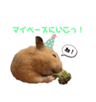 ハミーくんとコロンくんの日常！（個別スタンプ：23）